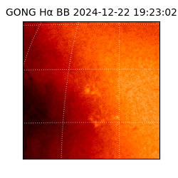 gong - 2024-12-22T19:23:02