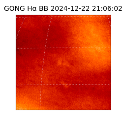 gong - 2024-12-22T21:06:02