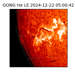 gong - 2024-12-22T05:00:42