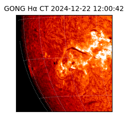 gong - 2024-12-22T12:00:42