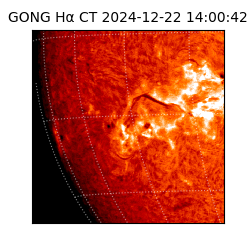 gong - 2024-12-22T14:00:42
