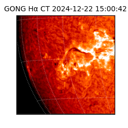 gong - 2024-12-22T15:00:42