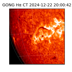 gong - 2024-12-22T20:00:42