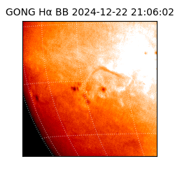 gong - 2024-12-22T21:06:02