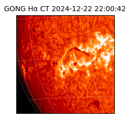 gong - 2024-12-22T22:00:42