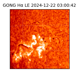 gong - 2024-12-22T03:00:42