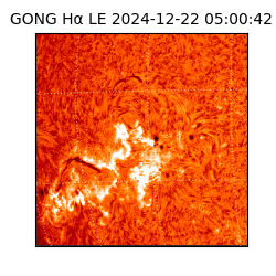 gong - 2024-12-22T05:00:42