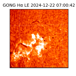 gong - 2024-12-22T07:00:42