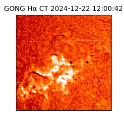 gong - 2024-12-22T12:00:42