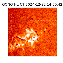 gong - 2024-12-22T14:00:42