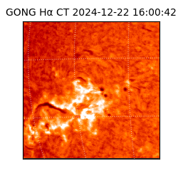 gong - 2024-12-22T16:00:42