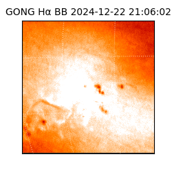 gong - 2024-12-22T21:06:02