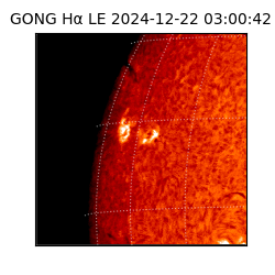 gong - 2024-12-22T03:00:42