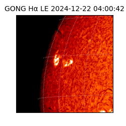 gong - 2024-12-22T04:00:42