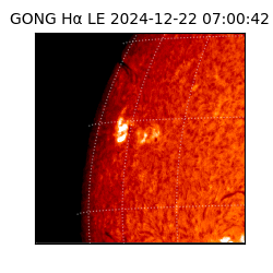 gong - 2024-12-22T07:00:42