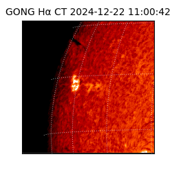 gong - 2024-12-22T11:00:42