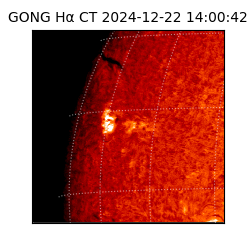 gong - 2024-12-22T14:00:42