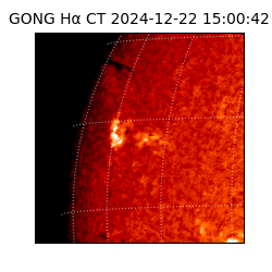 gong - 2024-12-22T15:00:42