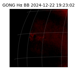 gong - 2024-12-22T19:23:02