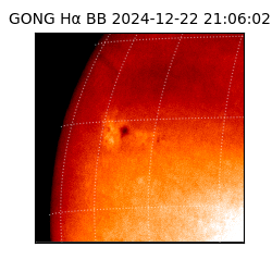 gong - 2024-12-22T21:06:02