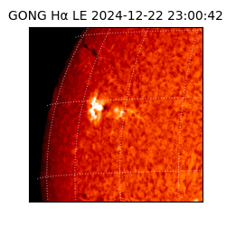 gong - 2024-12-22T23:00:42