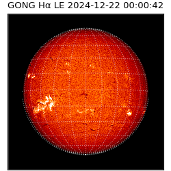 gong - 2024-12-22T00:00:42