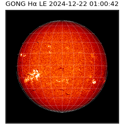 gong - 2024-12-22T01:00:42