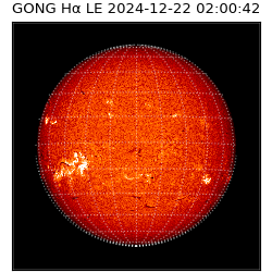 gong - 2024-12-22T02:00:42