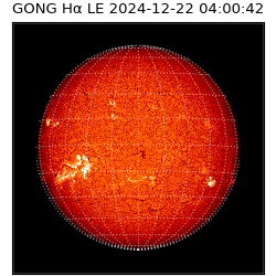 gong - 2024-12-22T04:00:42