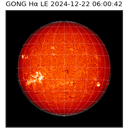 gong - 2024-12-22T06:00:42