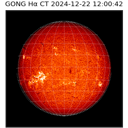 gong - 2024-12-22T12:00:42