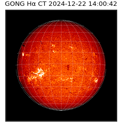 gong - 2024-12-22T14:00:42