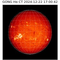 gong - 2024-12-22T17:00:42