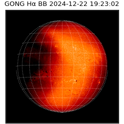 gong - 2024-12-22T19:23:02