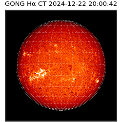 gong - 2024-12-22T20:00:42