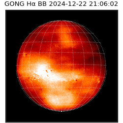 gong - 2024-12-22T21:06:02