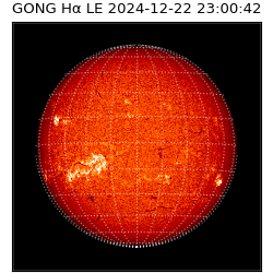 gong - 2024-12-22T23:00:42