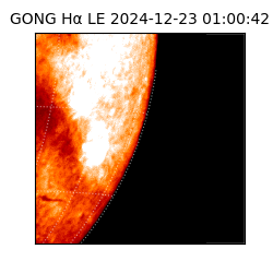 gong - 2024-12-23T01:00:42