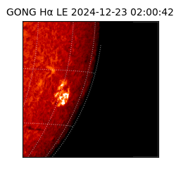 gong - 2024-12-23T02:00:42
