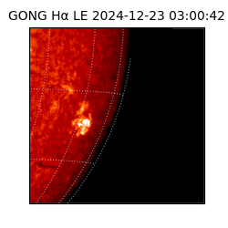 gong - 2024-12-23T03:00:42