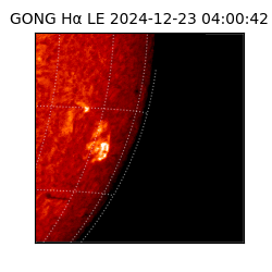 gong - 2024-12-23T04:00:42