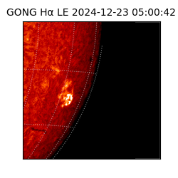 gong - 2024-12-23T05:00:42