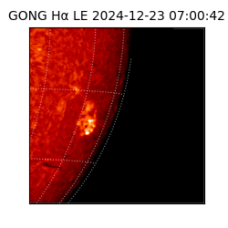 gong - 2024-12-23T07:00:42