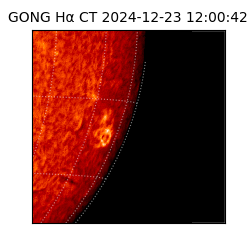 gong - 2024-12-23T12:00:42