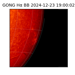 gong - 2024-12-23T19:00:02