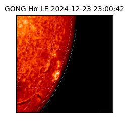 gong - 2024-12-23T23:00:42