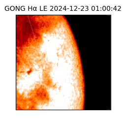 gong - 2024-12-23T01:00:42