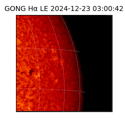 gong - 2024-12-23T03:00:42
