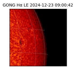 gong - 2024-12-23T09:00:42