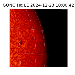 gong - 2024-12-23T10:00:42